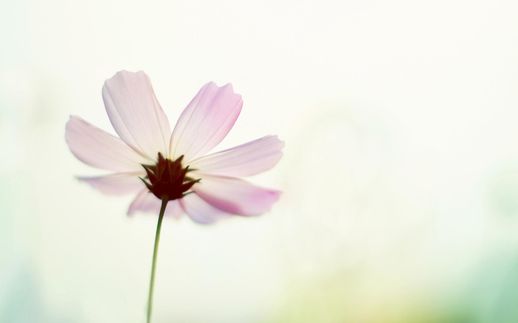 木字加一笔都有什么字_田字加一笔组成新字