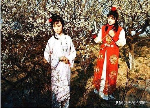 巨鼋是什么_鲎鱼有什么效果和作用
