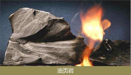 什么是化石_化石的解释是什么意思