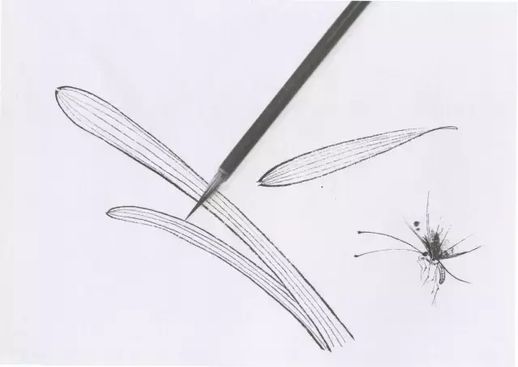 儿童勾线笔是什么_啥叫勾线笔