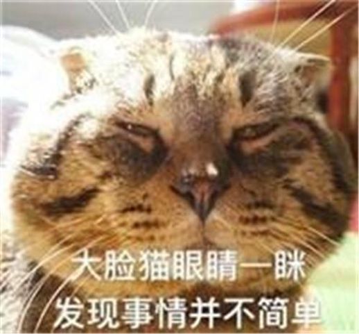 新鲜猪皮怎么做好吃_煮熟的猪皮怎么做好吃