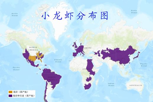 小龙虾是外来物种吗_小龙虾养殖一亩投资成本