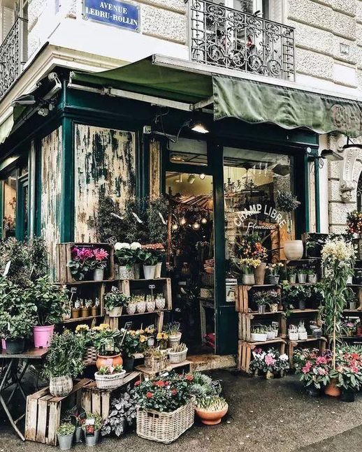 新手如何开花店_小花店一个月利润