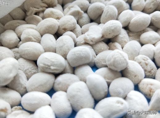 炒菜用生抽还是味极鲜_生抽好还是味极鲜好呢