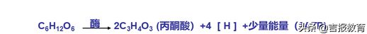 二氧化碳所有方程式_二氧化碳的化学反应