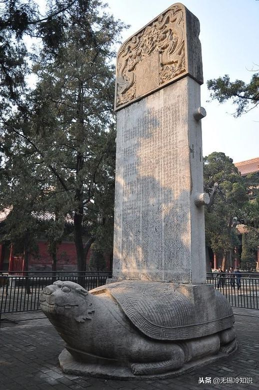 巨鼋是什么_鲎鱼有什么效果和作用