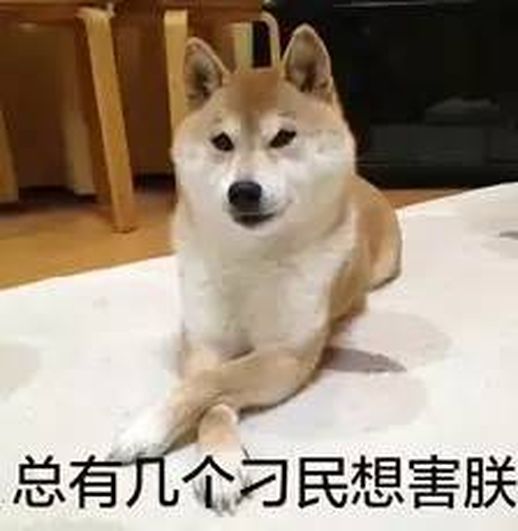 cows怎么读_cows怎么读英语语音