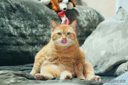 幽默故事人生哲理_励志人生哲理的小故事