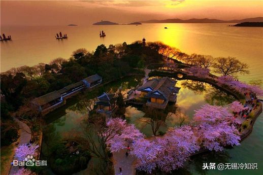 巨鼋是什么_鲎鱼有什么效果和作用