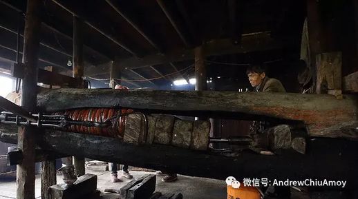 茶麸洗头的正确方法_茶麸洗头发的正确方法