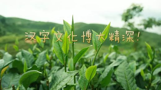 代替硼砂水的6种_能代替硼砂水的东西