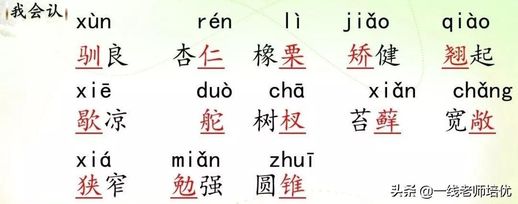 干怎么组词_乱怎么组词