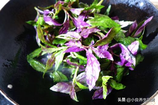 紫背菜的做法_紫背菜的做法窍门
