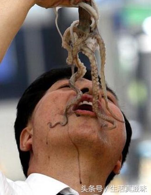 必胜客红酒焗蜗牛_必胜客焗蜗牛是真蜗牛吗