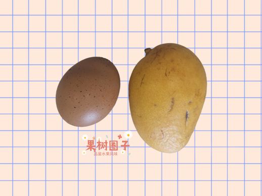 小台芒产地_小台芒产地在哪里海南