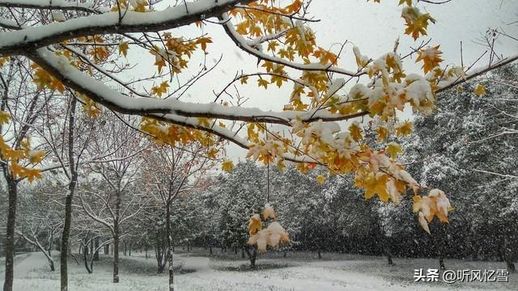 描写雪景的诗词_关于静雪的诗句