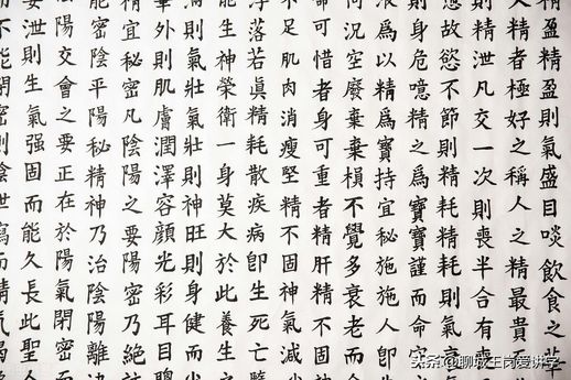 截然不同的意思_截然不同的理解