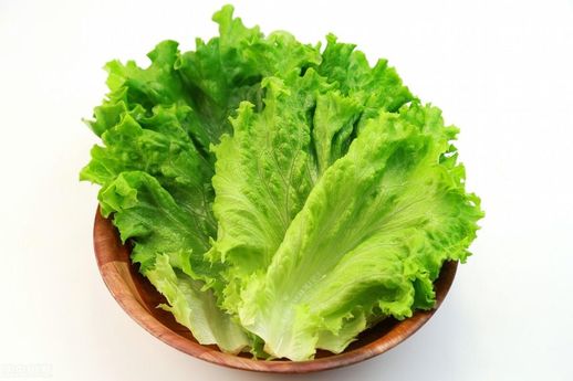 低热量食物一览表图片_热量低的水果排名