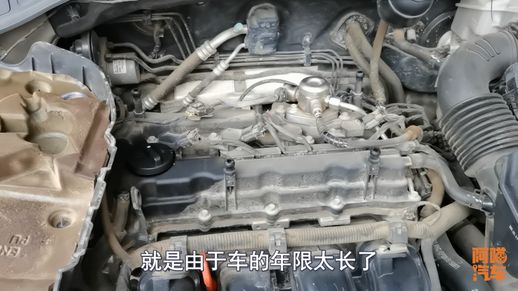 买二手车好吗_5万到6万建议买啥车