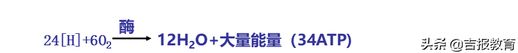 二氧化碳所有方程式_二氧化碳的化学反应