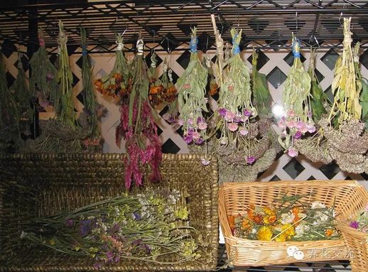 如何制作干花_如何制作干花不变色