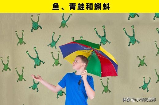 雨的声音有哪些_雨的声音有哪些形容词语和句子