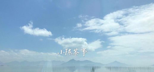 喝茶规矩基本礼仪_喝茶规矩基本礼仪有哪些