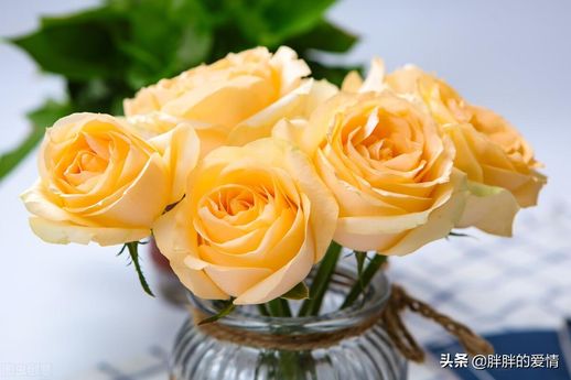 知足者常乐下一句_知足者常乐下一句搞笑点