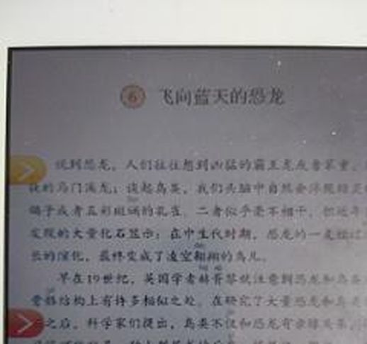 宠爱的近义词_宠溺的反义词是什么