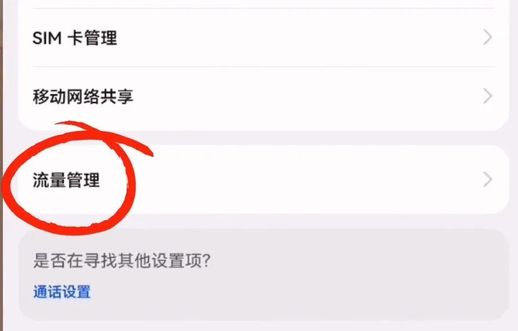 华为手机怎么关闭流量管理_华为怎么关闭风险管控