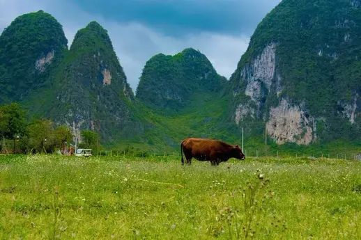 靖西旅游景点_靖西旅游景点介绍