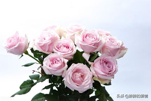 知足者常乐下一句_知足者常乐下一句搞笑点