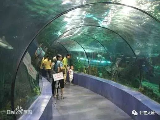 迎泽公园海底_迎泽公园海底世界门票
