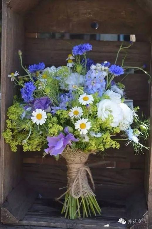 如何制作干花_如何制作干花不变色