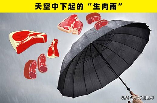 雨的声音有哪些_雨的声音有哪些形容词语和句子