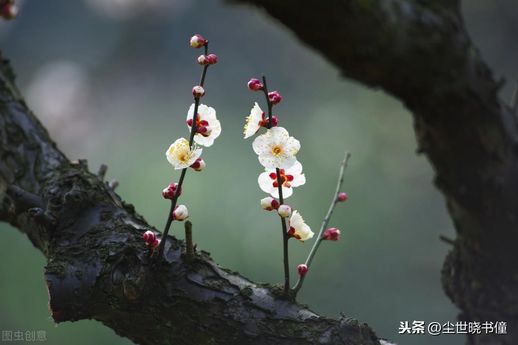 大道理谁都懂后面一句_道理谁都懂后面一句是什么