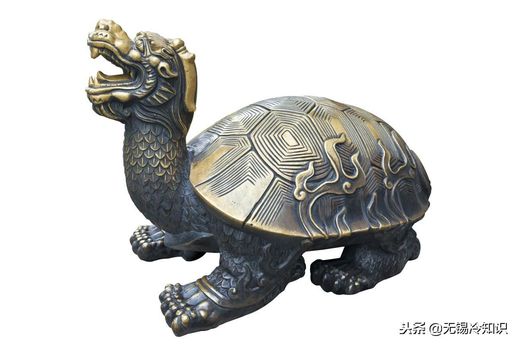 巨鼋是什么_鲎鱼有什么效果和作用