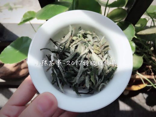 喝茶规矩基本礼仪_喝茶规矩基本礼仪有哪些