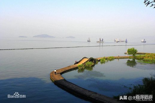 巨鼋是什么_鲎鱼有什么效果和作用