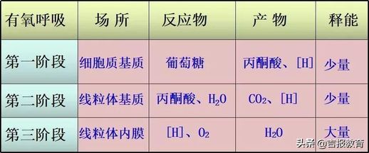 二氧化碳所有方程式_二氧化碳的化学反应