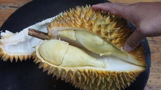 榴莲炖鸡的做法_榴莲炖鸡真的很补吗