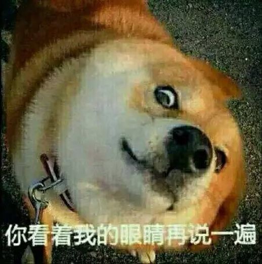 cows怎么读_cows怎么读英语语音