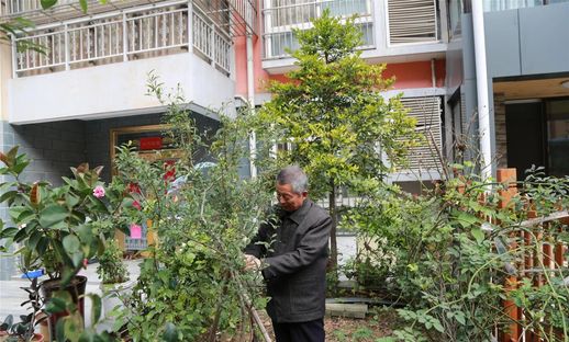 果实累累的意思是什么_果实累累用来形容什么