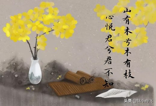 古风情话写给男生_文言文情书写给女生