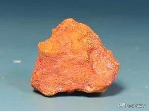 家里有蛇怎么办_家里有蛇怎么办？如何驱赶进屋的蛇？