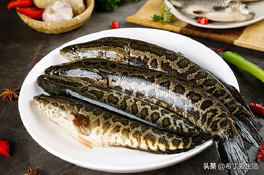 水煮鱼怎么切片_如何把鱼切成片