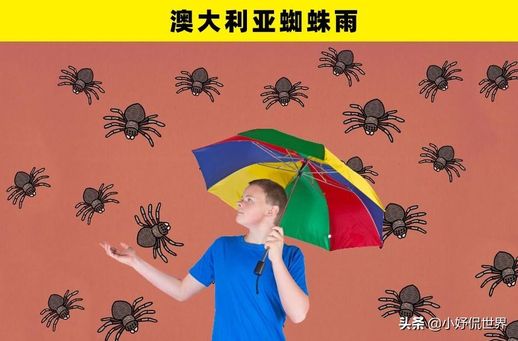雨的声音有哪些_雨的声音有哪些形容词语和句子